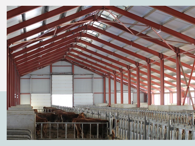 Строительство коровников в Петропавловске-Камчатском